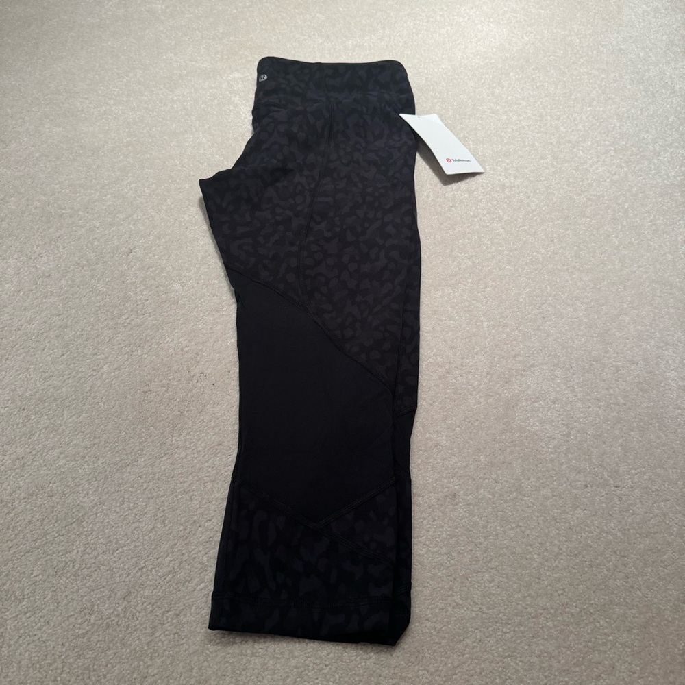 Pace Rival HR Crop 22" - NWT!